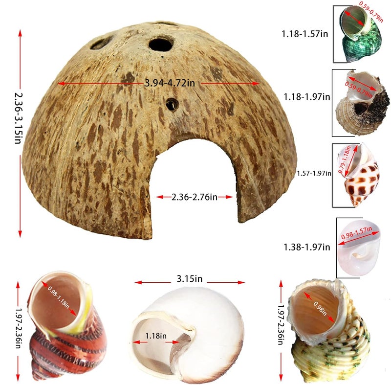 SINKOO Hermit Crab Shell Growth Seashells 15 PCS (7 Types) Natural Coconut Shells Hut for Fish Tank Decor Hide Reptile Hideouts - Image 2